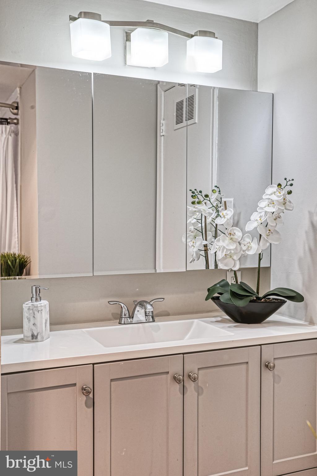 3322 Hewitt Avenue, Unit 72B Silver Spring, MD 20906 - Photo 22 of 29 Full Bathroom.