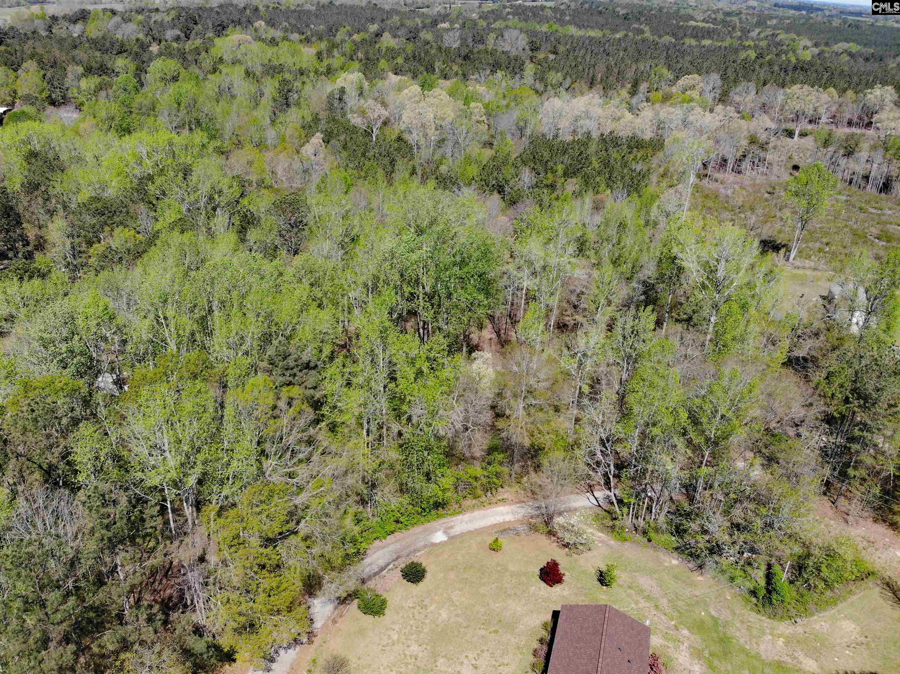 Tbd James Road Joanna, SC 29351 - Photo 76 of 82