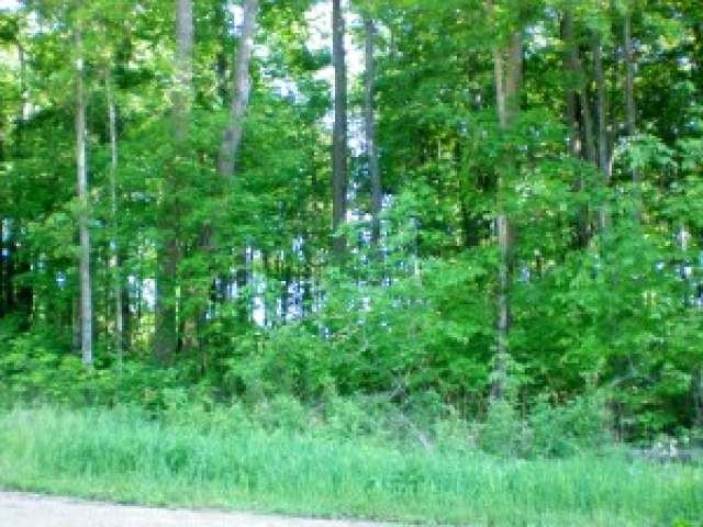 Lot #1 Elton Road Elton, WI 54430 - Photo 1 of 1 Gallery Image 1