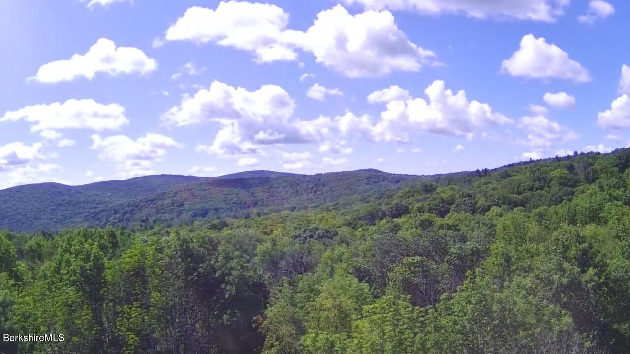 a view of a bunch of trees and mountains