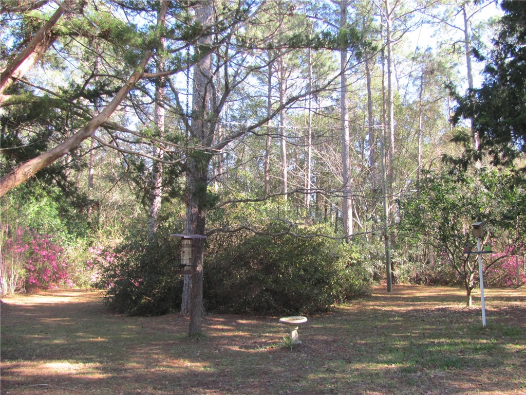 85050 Phillips Road Yulee, FL 32097 - Photo 7 of 20 Gallery Image 7
