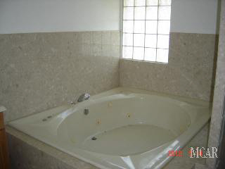 1454 West Temperance Road Temperance, MI 48182 - Photo 12 of 14 Master Bath