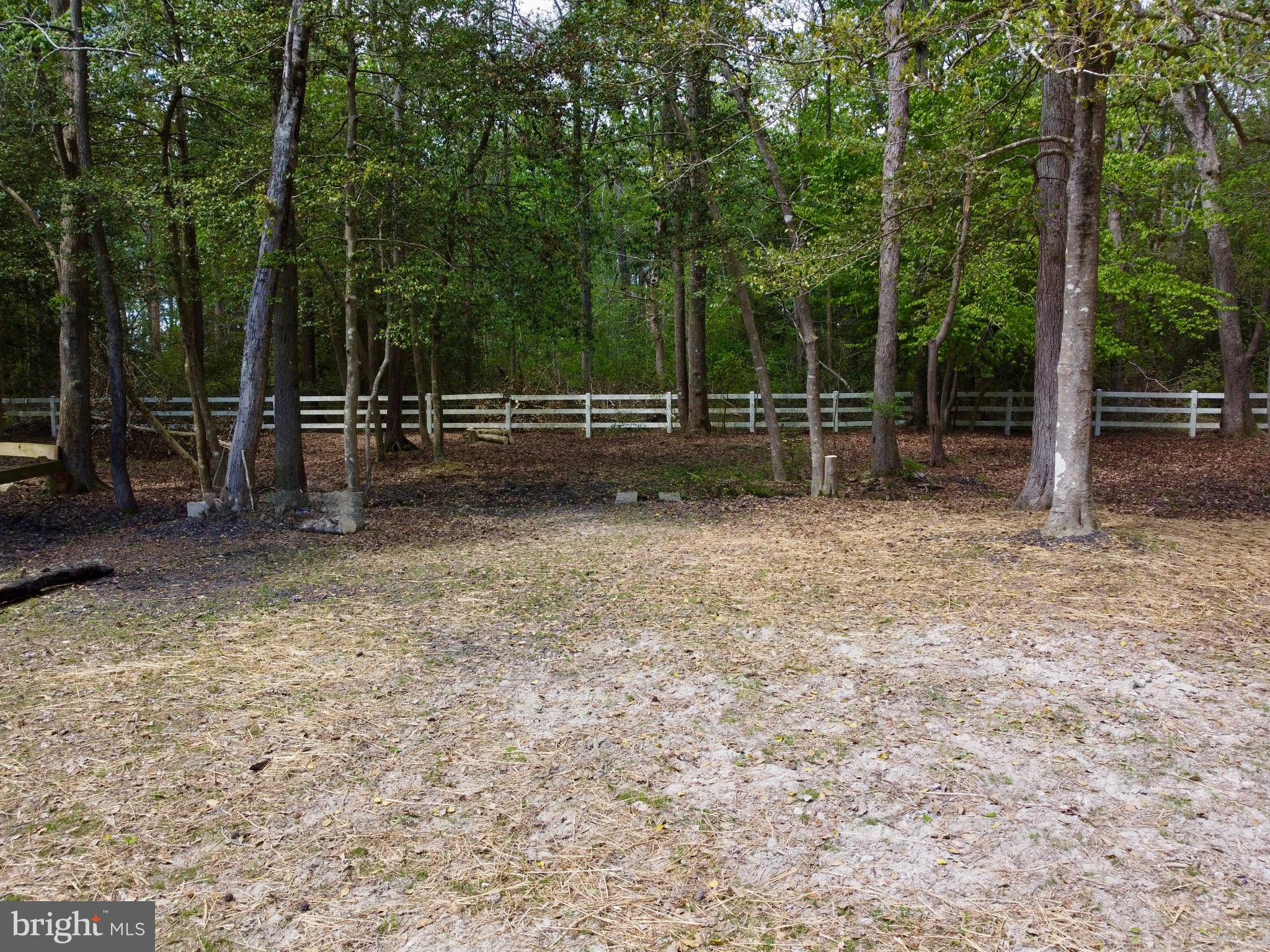 32685 Daisey Road Frankford, DE 19945 - Photo 12 of 26