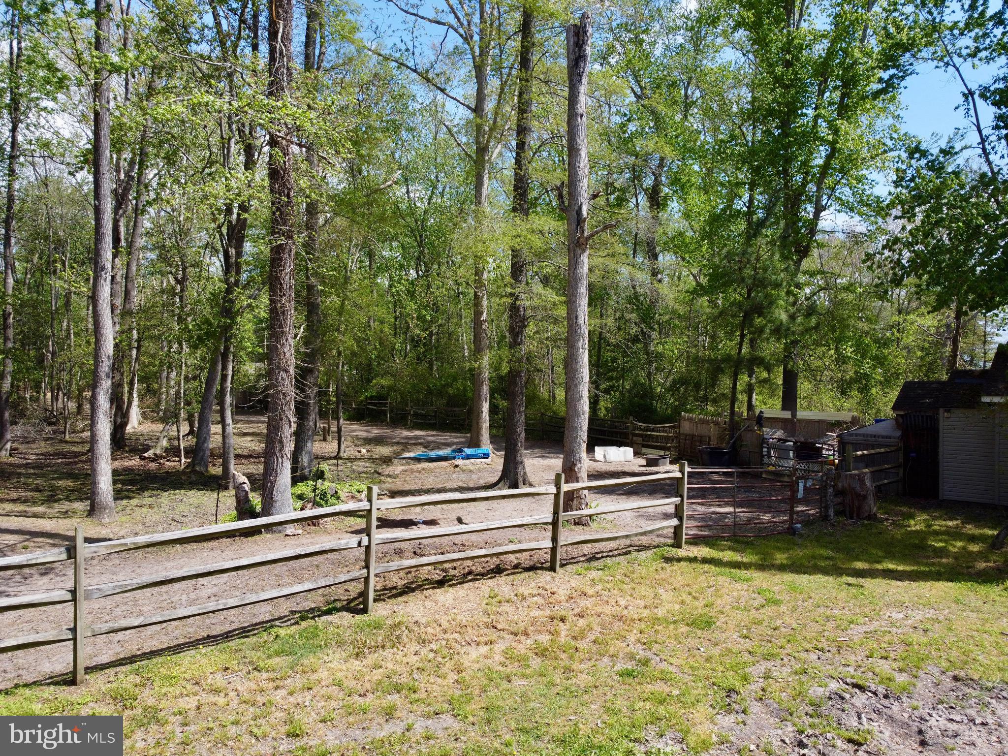 32685 Daisey Road Frankford, DE 19945 - Photo 19 of 26