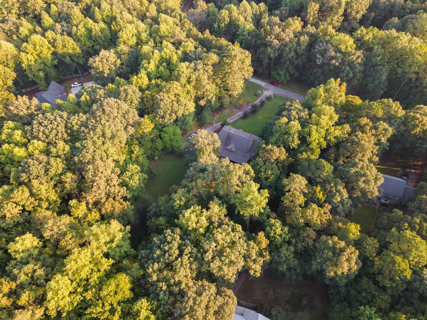 6913 Pinnacle Ridge Road Raleigh, NC 27603 - Photo 33 of 34 Photo 34