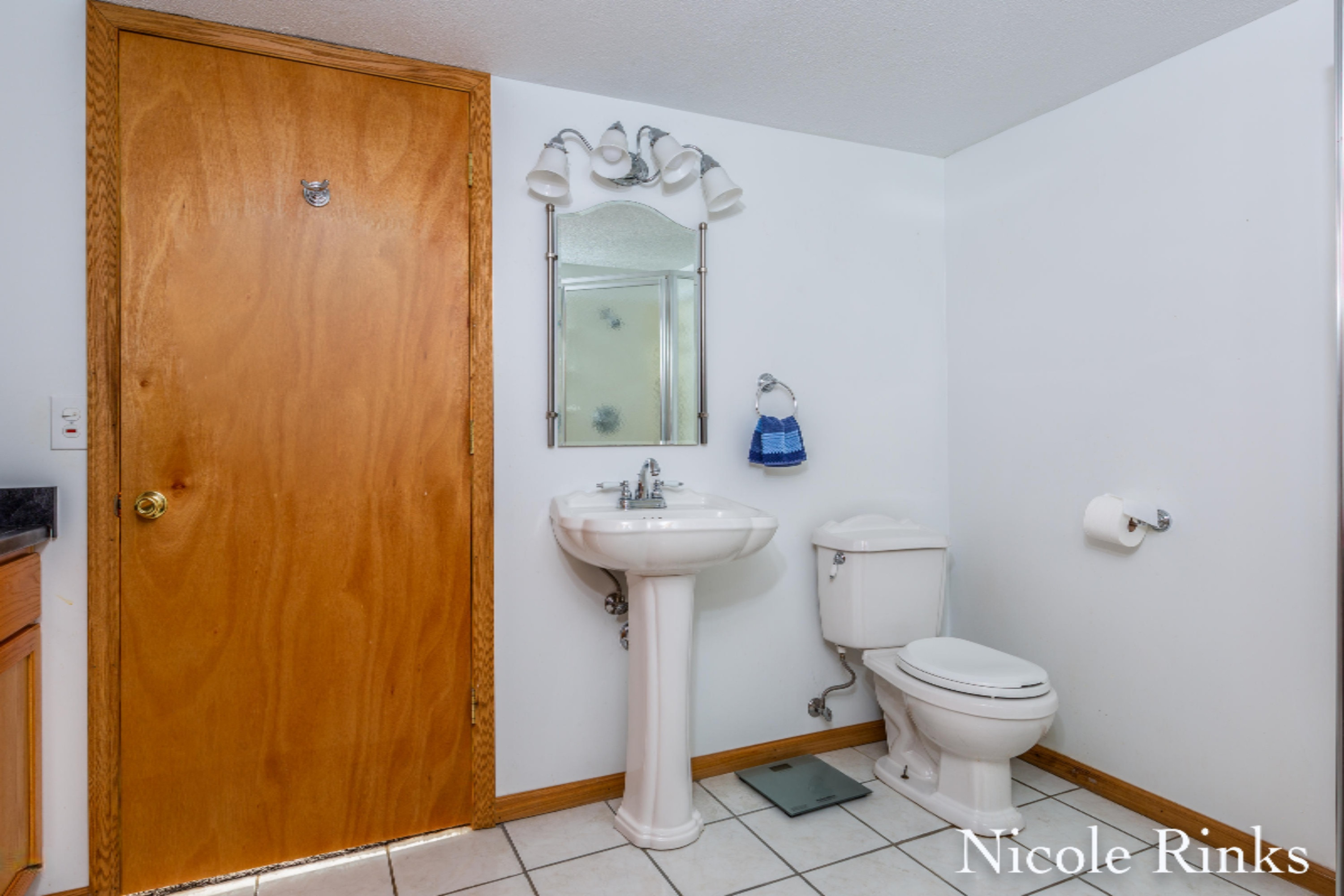 10203 Portland Road Clarksville, MI 48815 - Photo 20 of 28 Nicole Rinks-Portland Clarksville-21