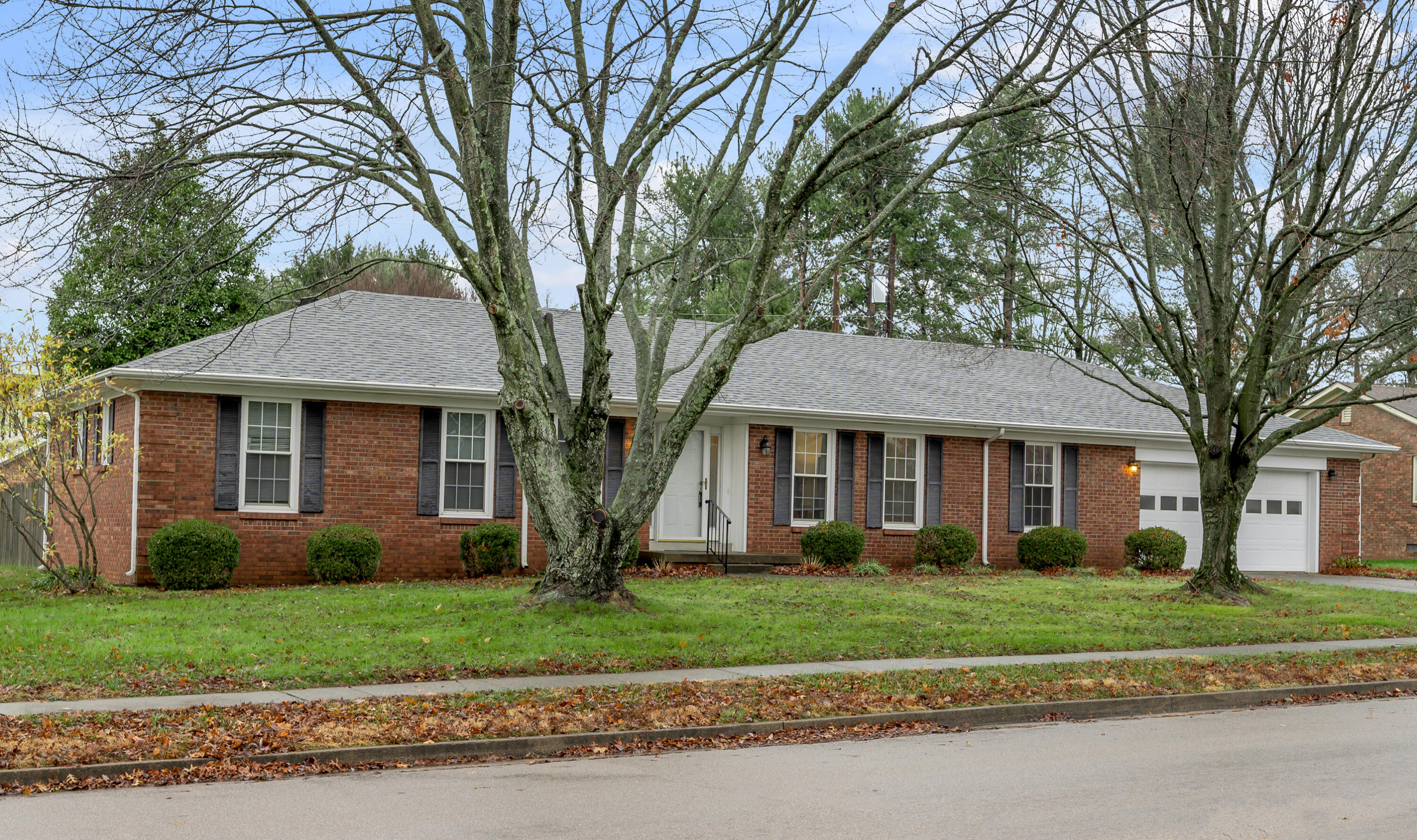 3359 Snaffle Road Lexington, KY 40513 - Photo 1 of 44 TDB_9968