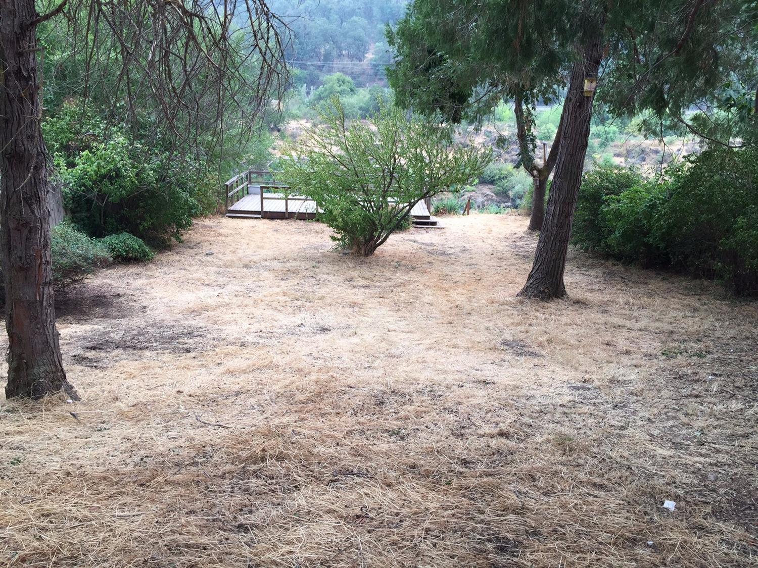 465 Riverside Avenue Gold Hill, OR 97525 - Photo 18 of 26 a view of a yard with plants and trees