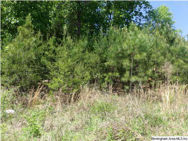 Mountain Lake Trail, Unit 22 Alabaster, AL 35007 - Photo 1 of 1