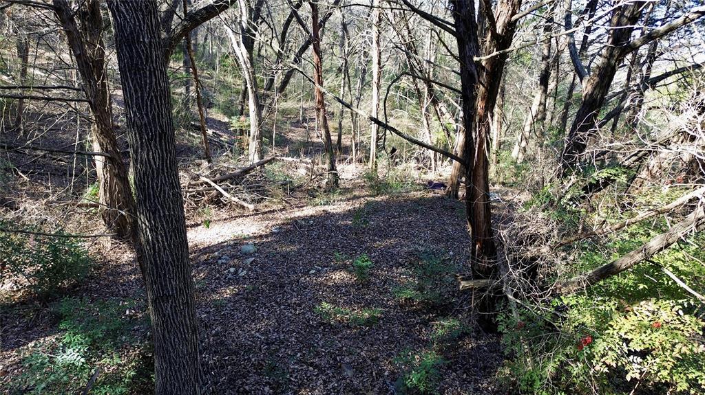 1917 Juniper Ridge Road Cedar Hill, TX 75104 - Photo 15 of 23 a view of a forest with trees