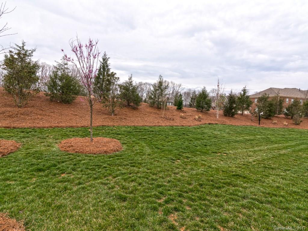 7005 Tea Olive Road Marvin, NC 28173 - Photo 23 of 24 a view of a park