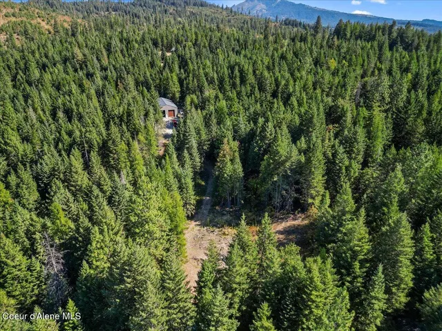 $750,000 | 662 Homestead Hollow Road, Careywood, ID 83809