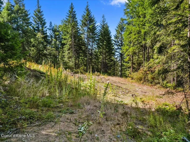 $750,000 | 662 Homestead Hollow Road, Careywood, ID 83809