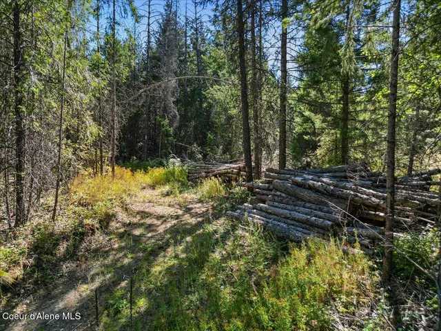 $750,000 | 662 Homestead Hollow Road, Careywood, ID 83809