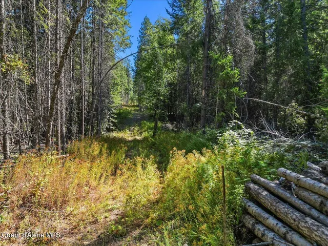 $750,000 | 662 Homestead Hollow Road, Careywood, ID 83809