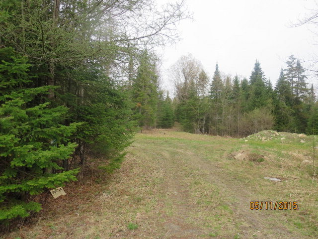 7597 State Rte 3 Vermontville, NY 12989 - Photo 4 of 6 Gallery Image 4
