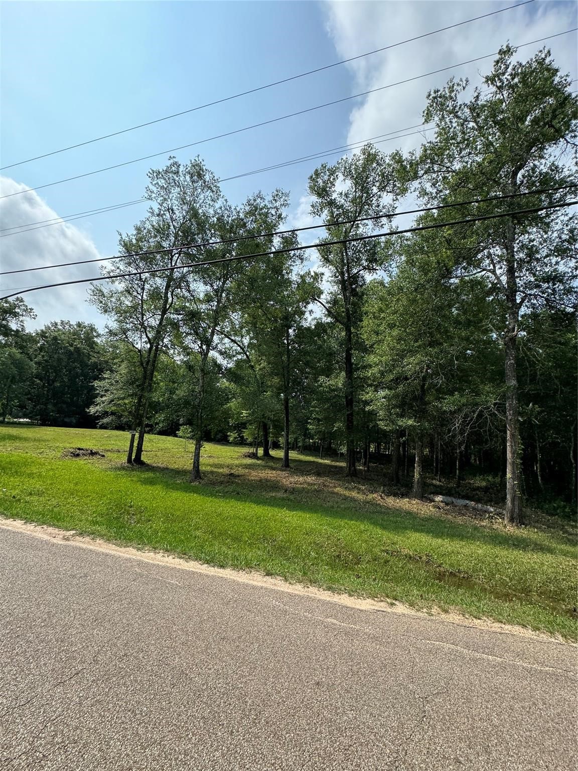 Tbd Frontier Road Willis, TX 77378 - Photo 3 of 3