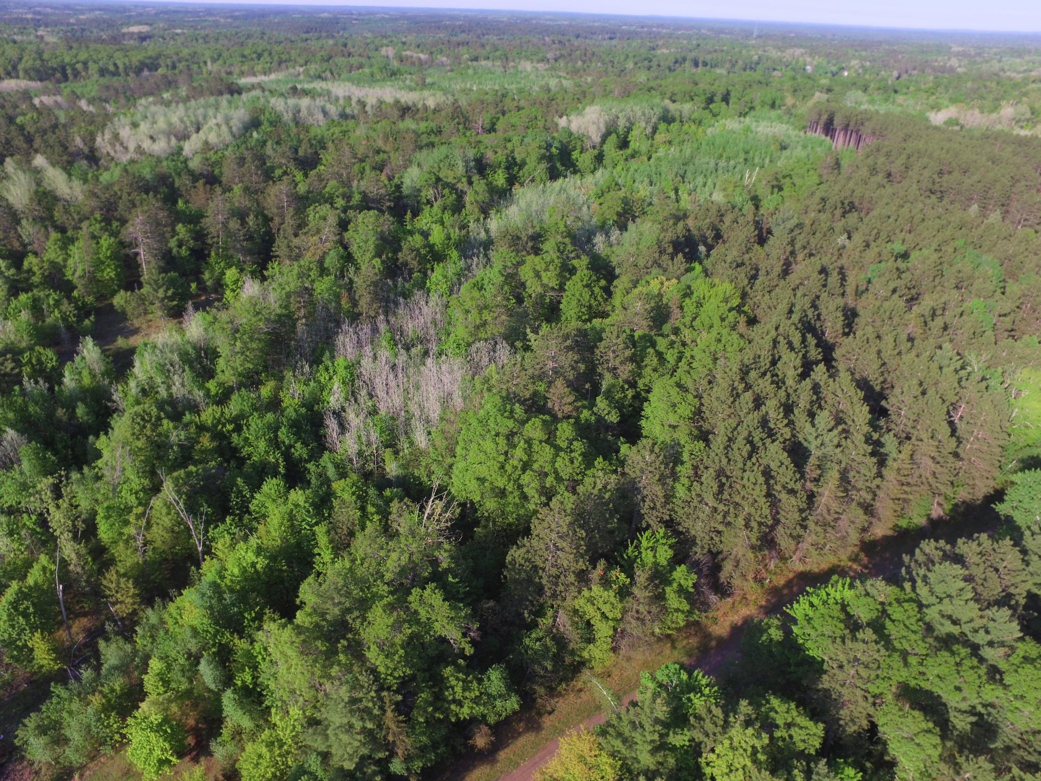 Lot 31 Setting Sun Trail Way Danbury, WI 54830 - Photo 19 of 19