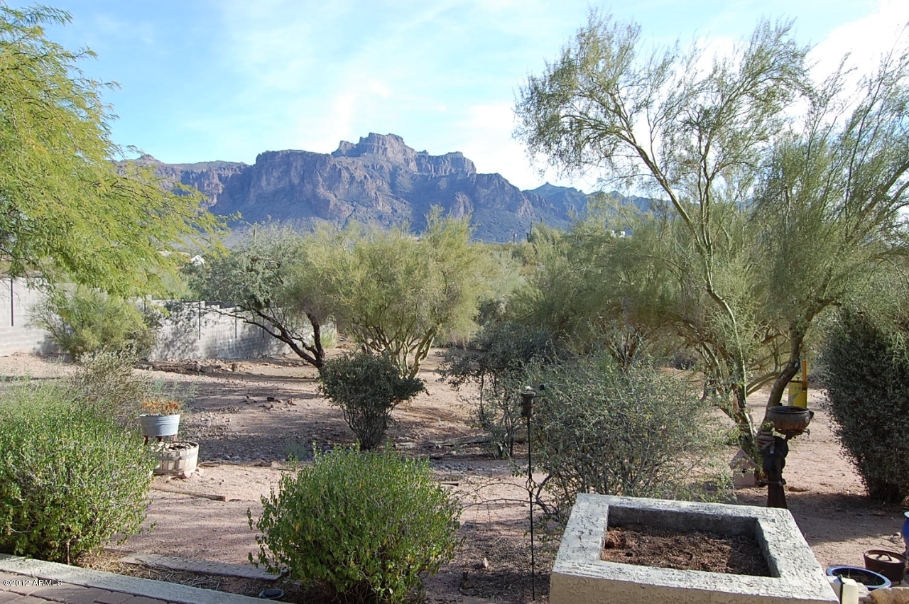 891 North Roadrunner Road Apache Junction, AZ 85119 - Photo 21 of 28 Backyard 2