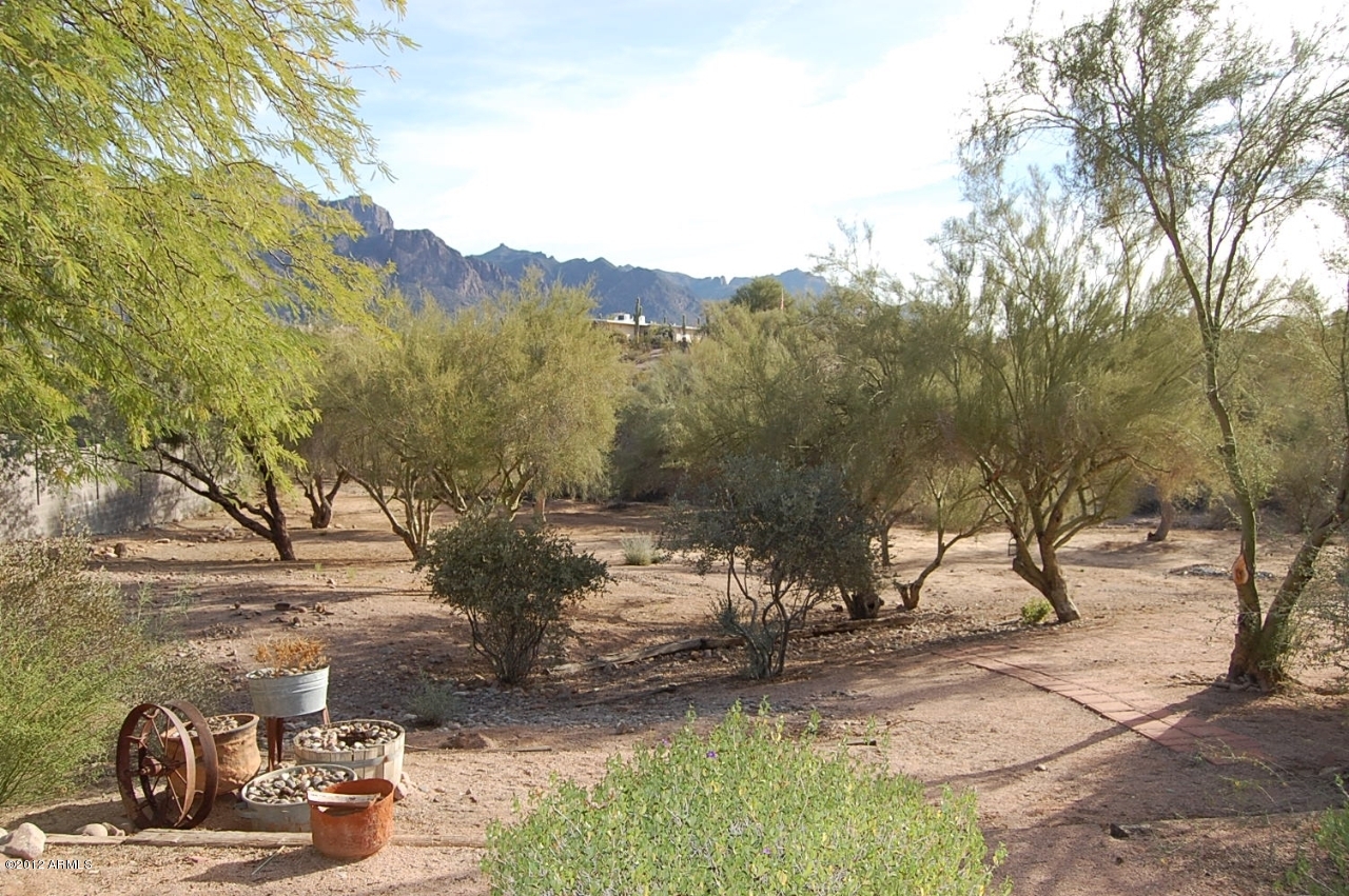 891 North Roadrunner Road Apache Junction, AZ 85119 - Photo 22 of 28 Backyard 3