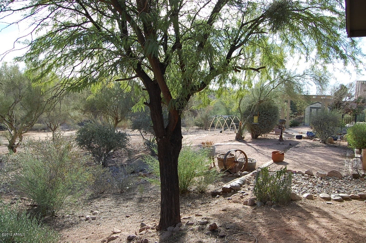 891 North Roadrunner Road Apache Junction, AZ 85119 - Photo 23 of 28 Backyard 4