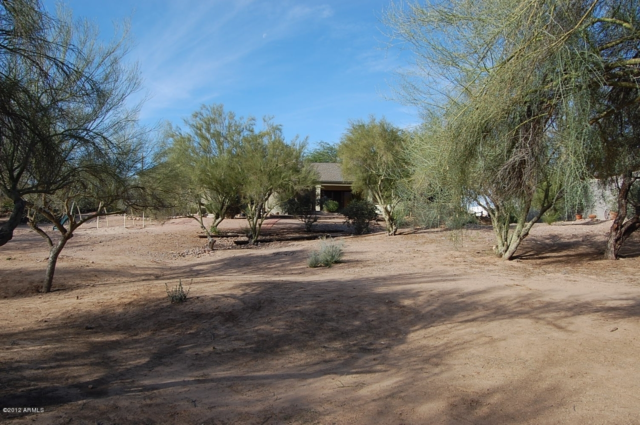 891 North Roadrunner Road Apache Junction, AZ 85119 - Photo 25 of 28 Backyard 6