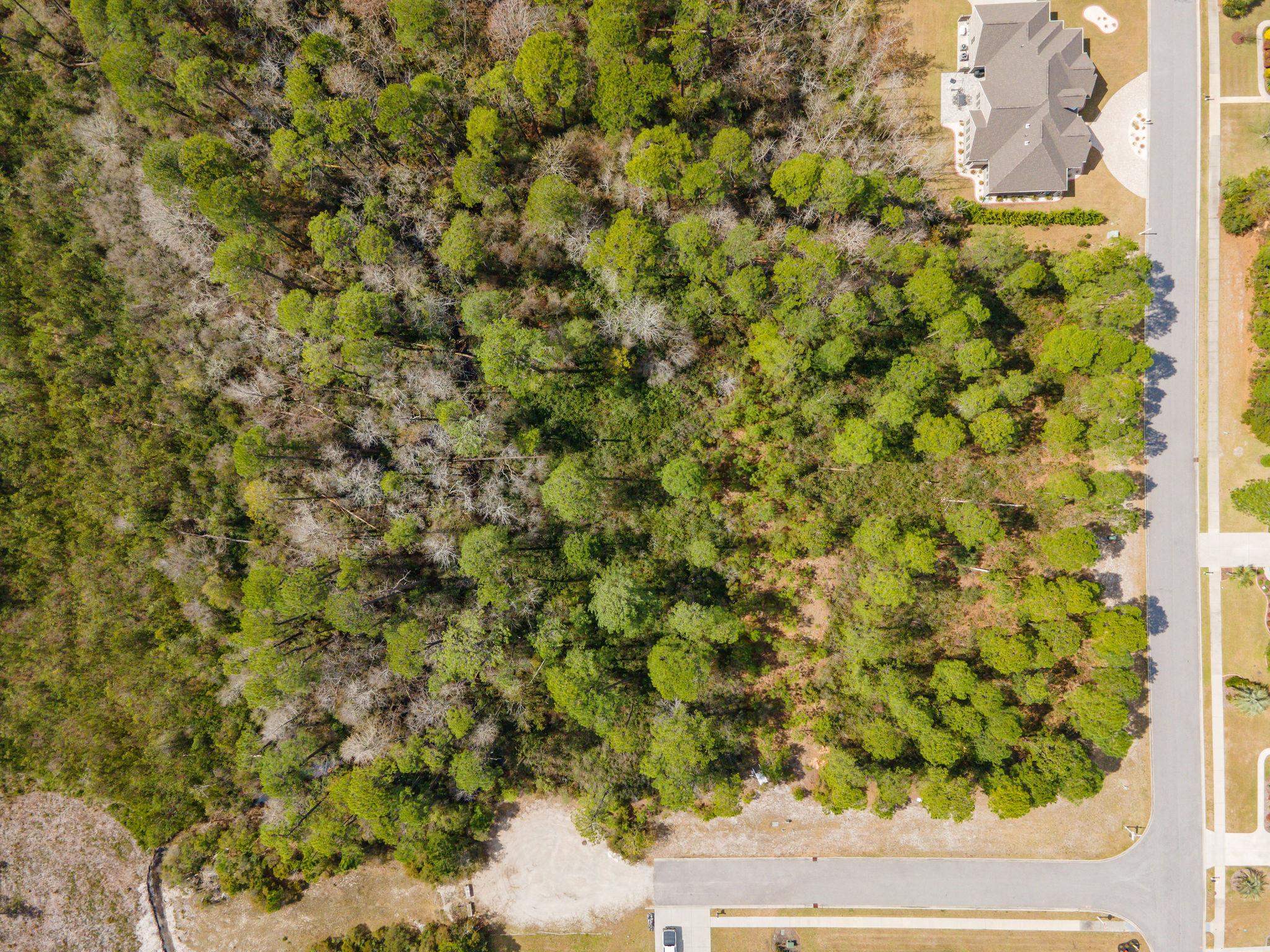 Arco Drive Myrtle Beach, SC 29579 - Photo 3 of 18