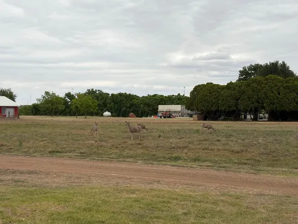 $450,000 | 15987 Farm To Market Road 164, Childress, TX 79201