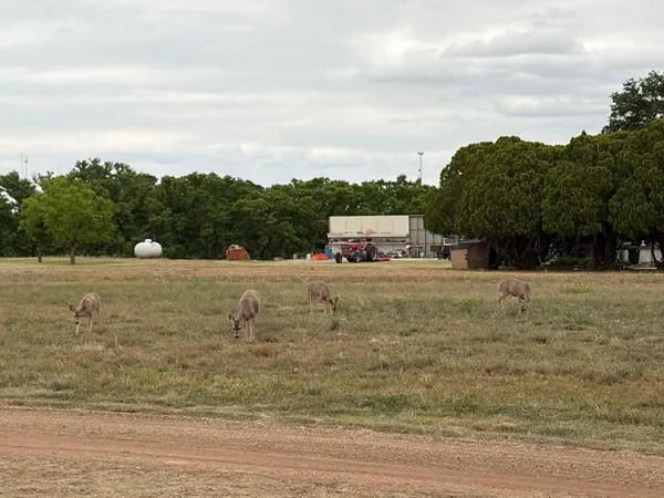$450,000 | 15987 Farm To Market Road 164, Childress, TX 79201