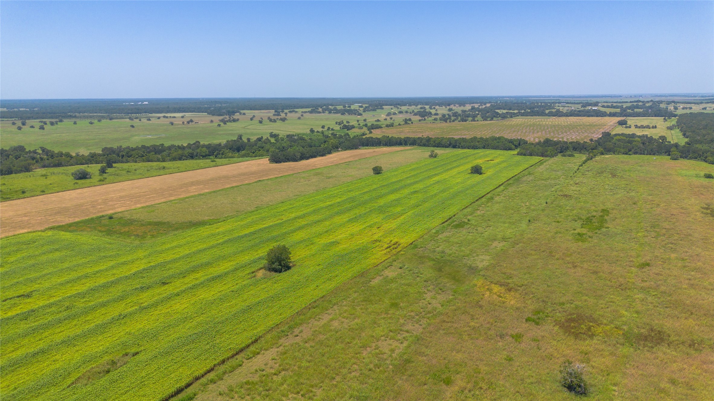 0 Devault Lane Brenham, TX 77833 - Photo 4 of 8
