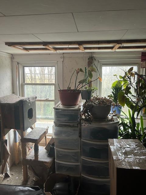 217 Dickvale Road Peru, ME 04290 - Photo 21 of 22 IMG_6999