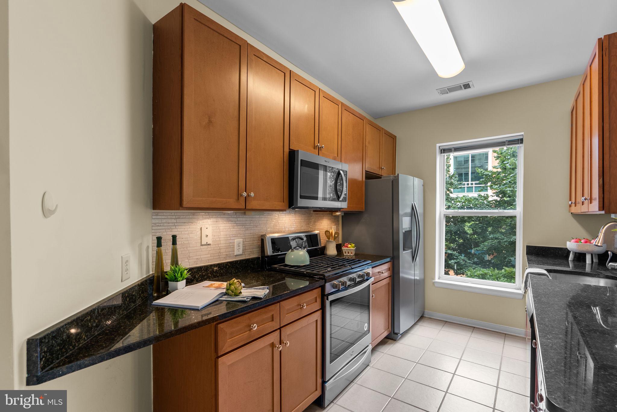 8045 Newell Street, Unit 102 Silver Spring, MD 20910 - Photo 21 of 31 Granite counters stainless steel appliances