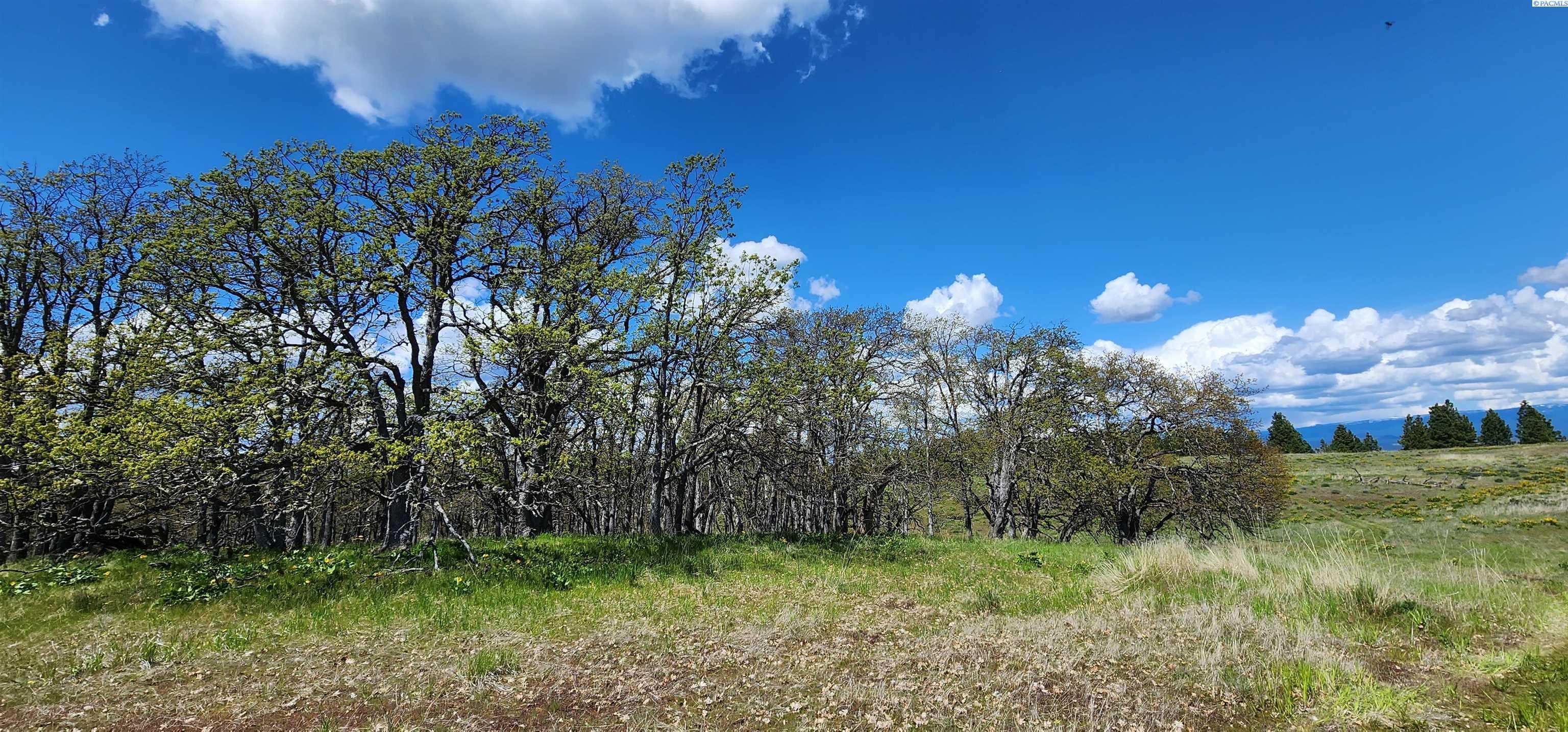 Lot 19 Schilling Road Lyle, WA 98635 - Photo 10 of 39 Gallery Image 10
