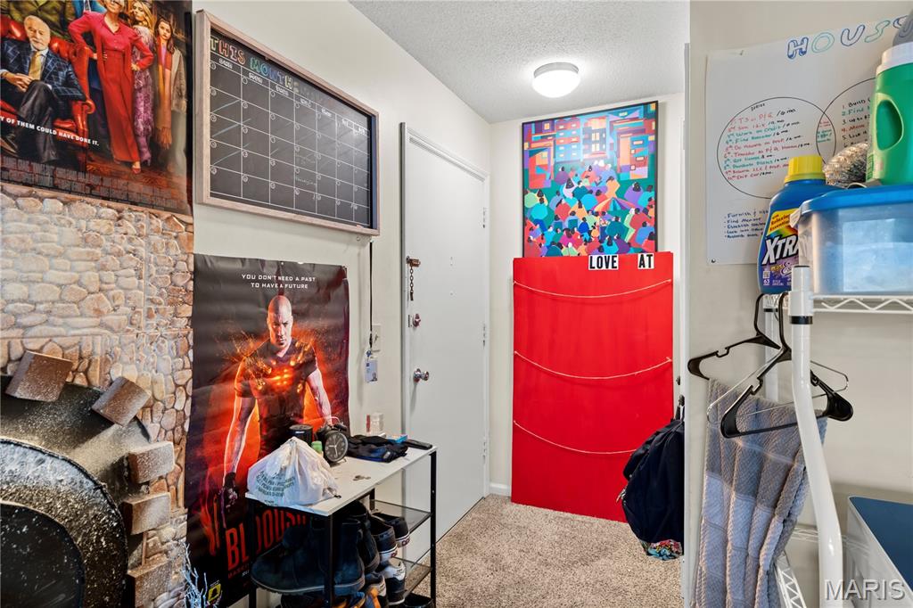 444 Chapel Ridge Drive, Unit F Hazelwood, MO 63042 - Photo 9 of 24