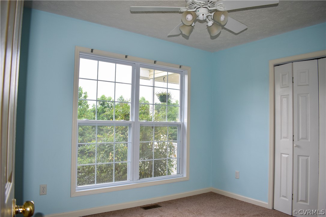 9925 Scotts Road Dewitt, VA 23840 - Photo 12 of 31 Fresh Paint, New Carpet in this bedroom.