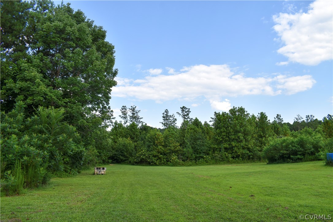 9925 Scotts Road Dewitt, VA 23840 - Photo 16 of 31 View of pastures.
