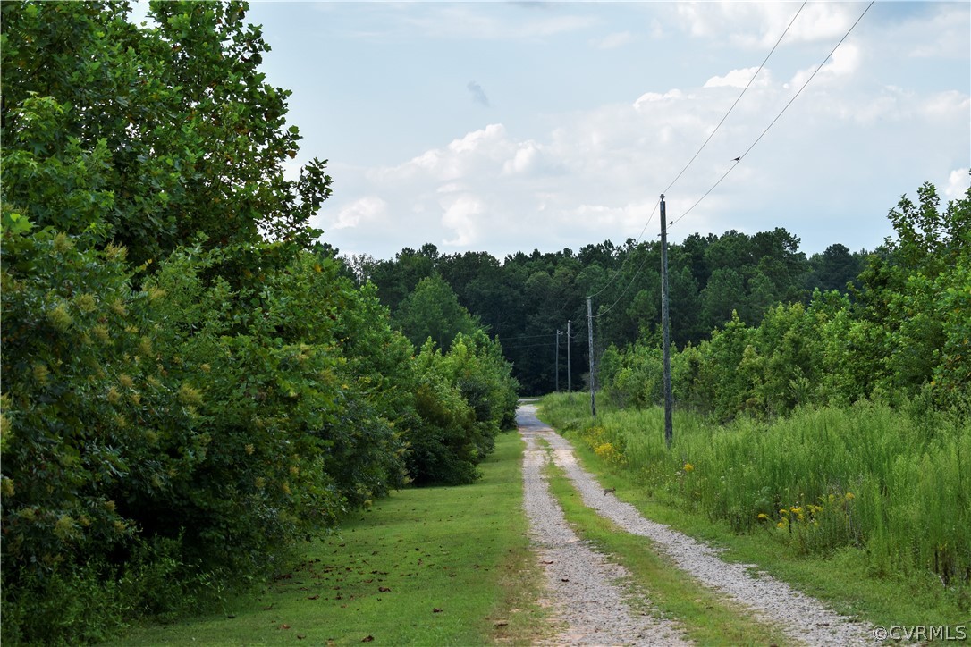 9925 Scotts Road Dewitt, VA 23840 - Photo 25 of 31 Here is the driveway to the house. The house is