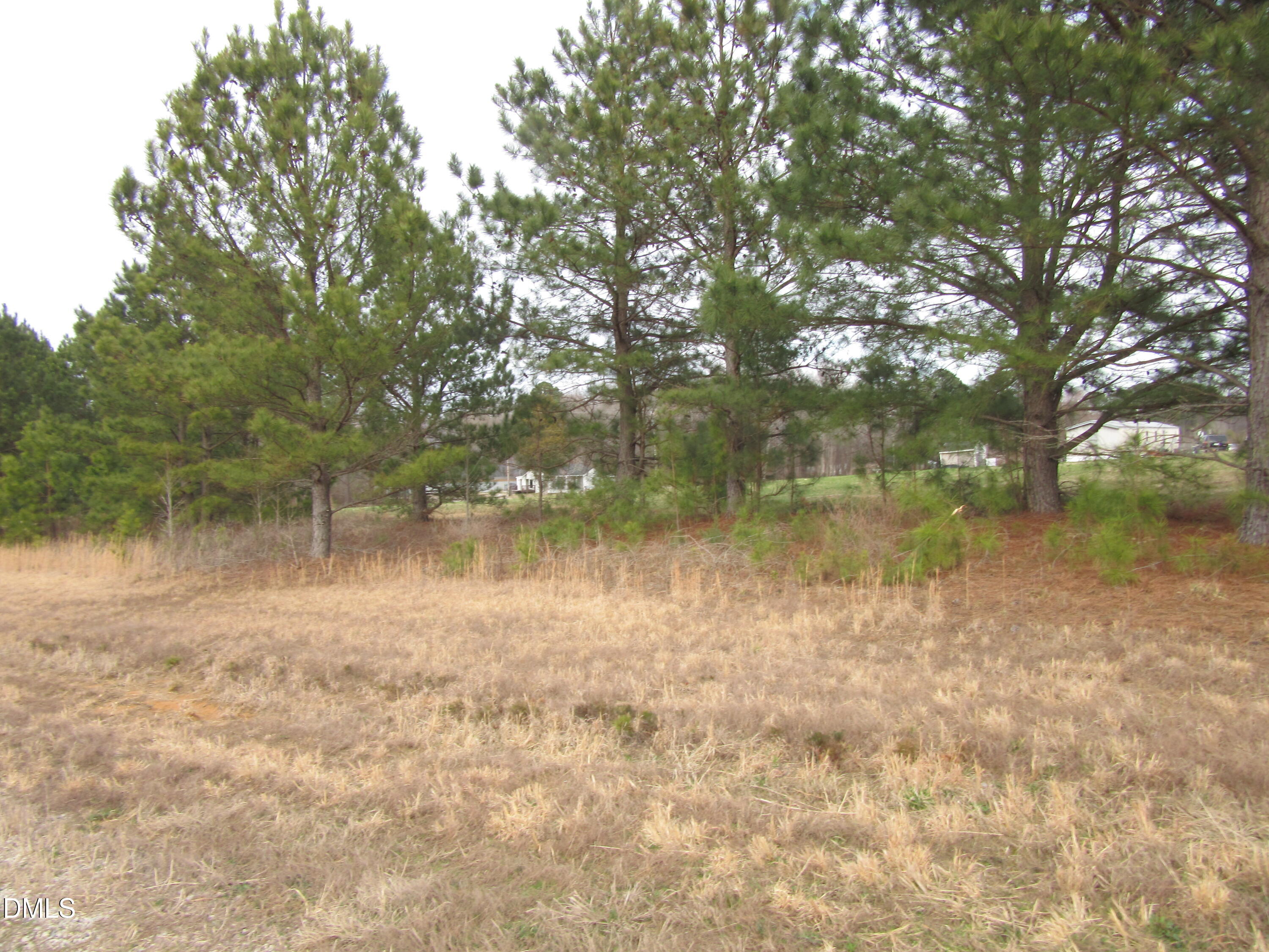 Lot 2 Johnson Town Road Zebulon, NC 27597 - Photo 1 of 8 IMG_1650