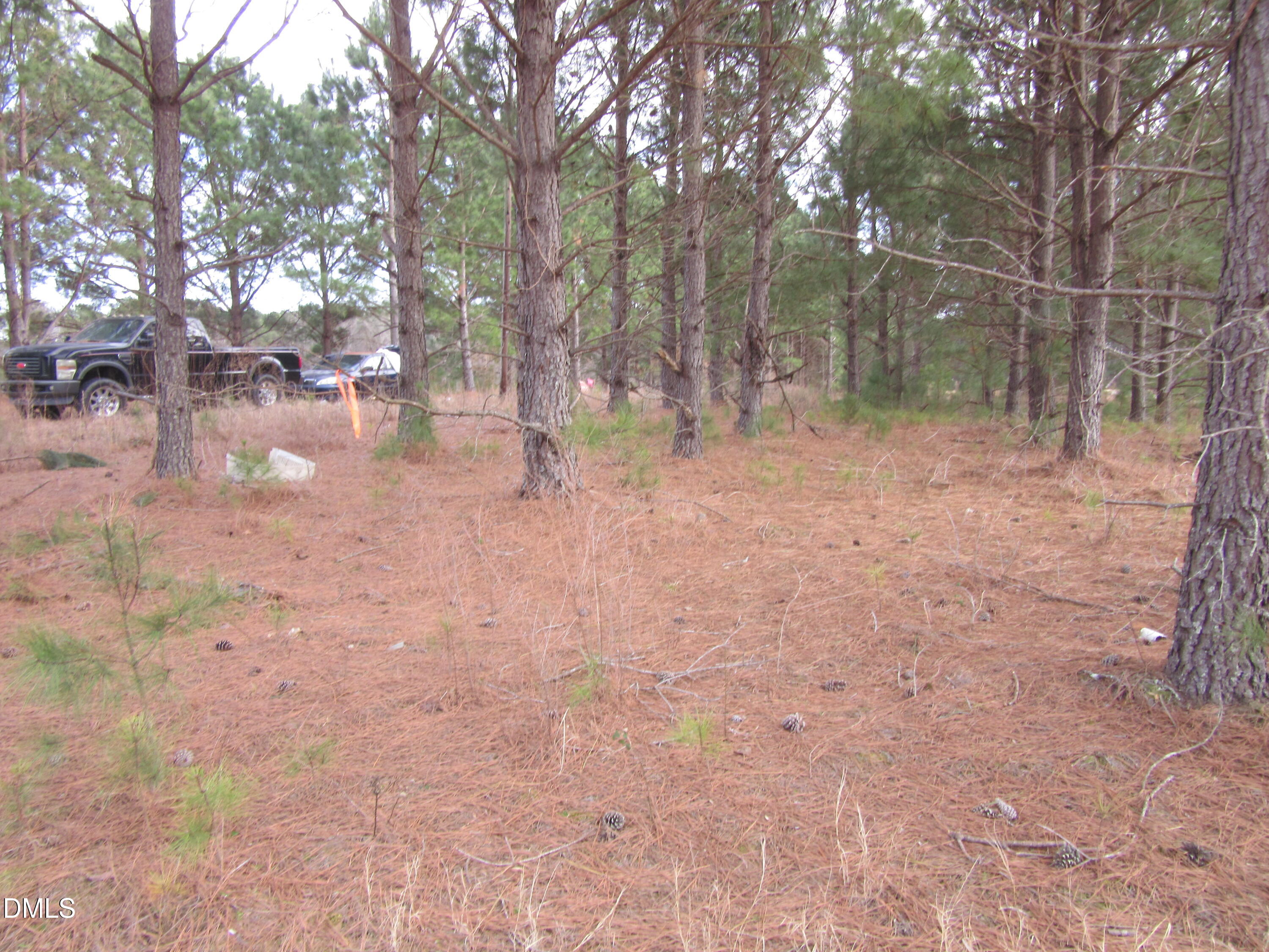 Lot 2 Johnson Town Road Zebulon, NC 27597 - Photo 3 of 8 IMG_1652