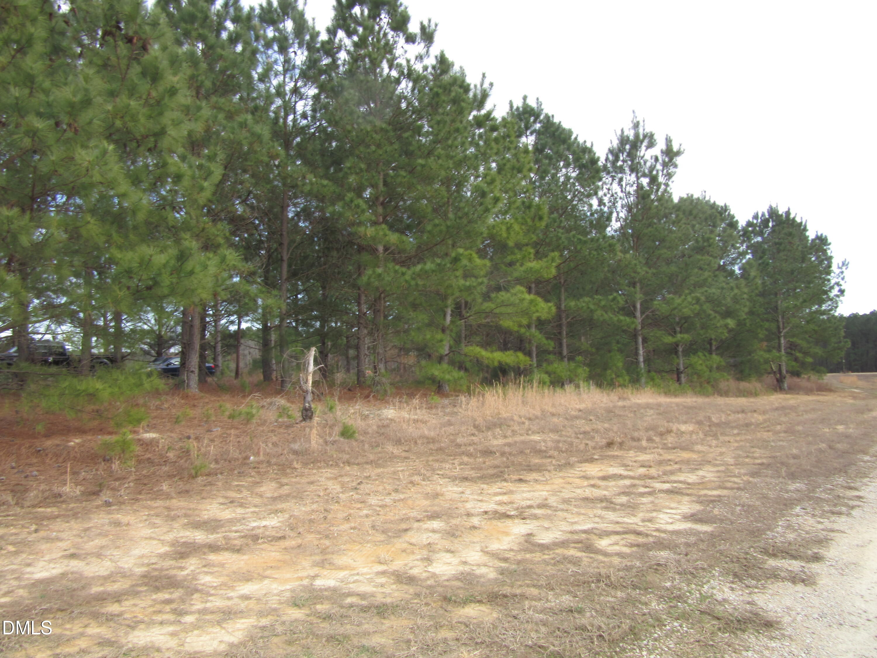 Lot 2 Johnson Town Road Zebulon, NC 27597 - Photo 4 of 8 IMG_1653