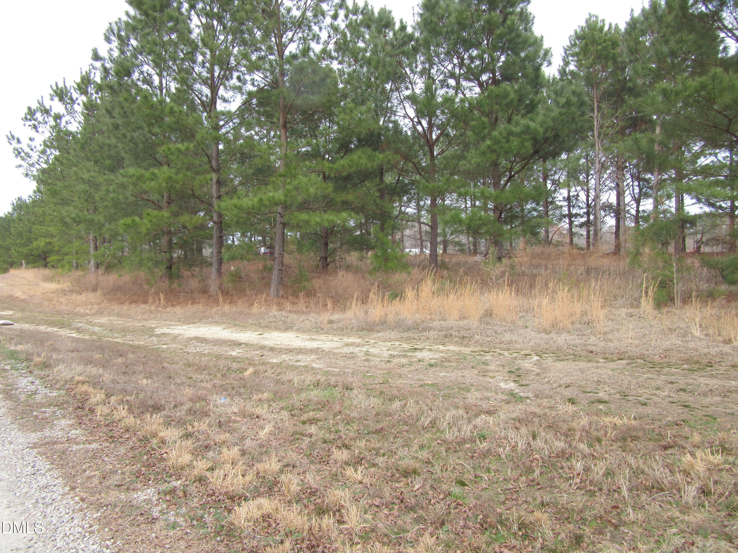 Lot 2 Johnson Town Road Zebulon, NC 27597 - Photo 5 of 8 IMG_1654