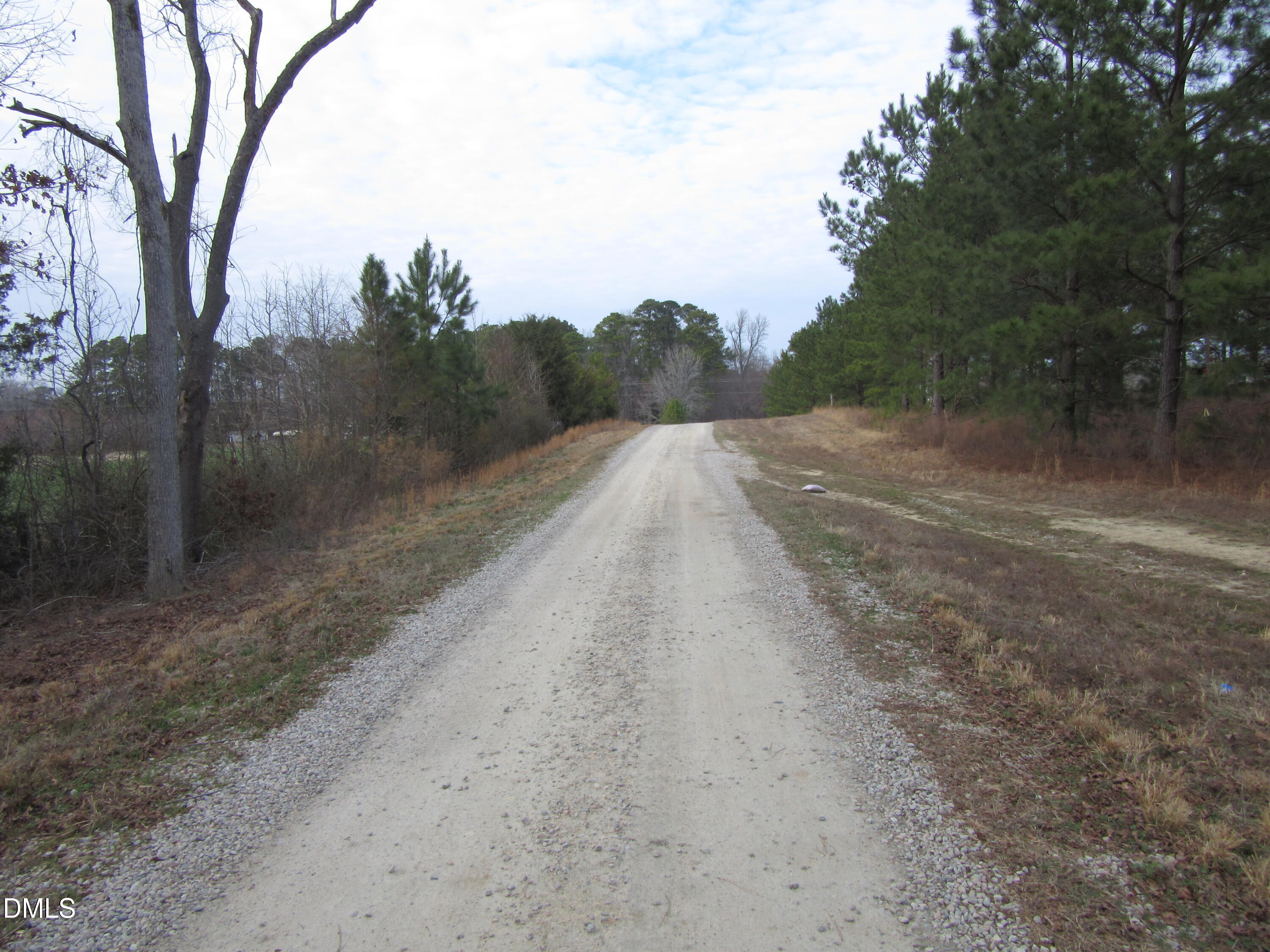 Lot 2 Johnson Town Road Zebulon, NC 27597 - Photo 6 of 8 IMG_1655