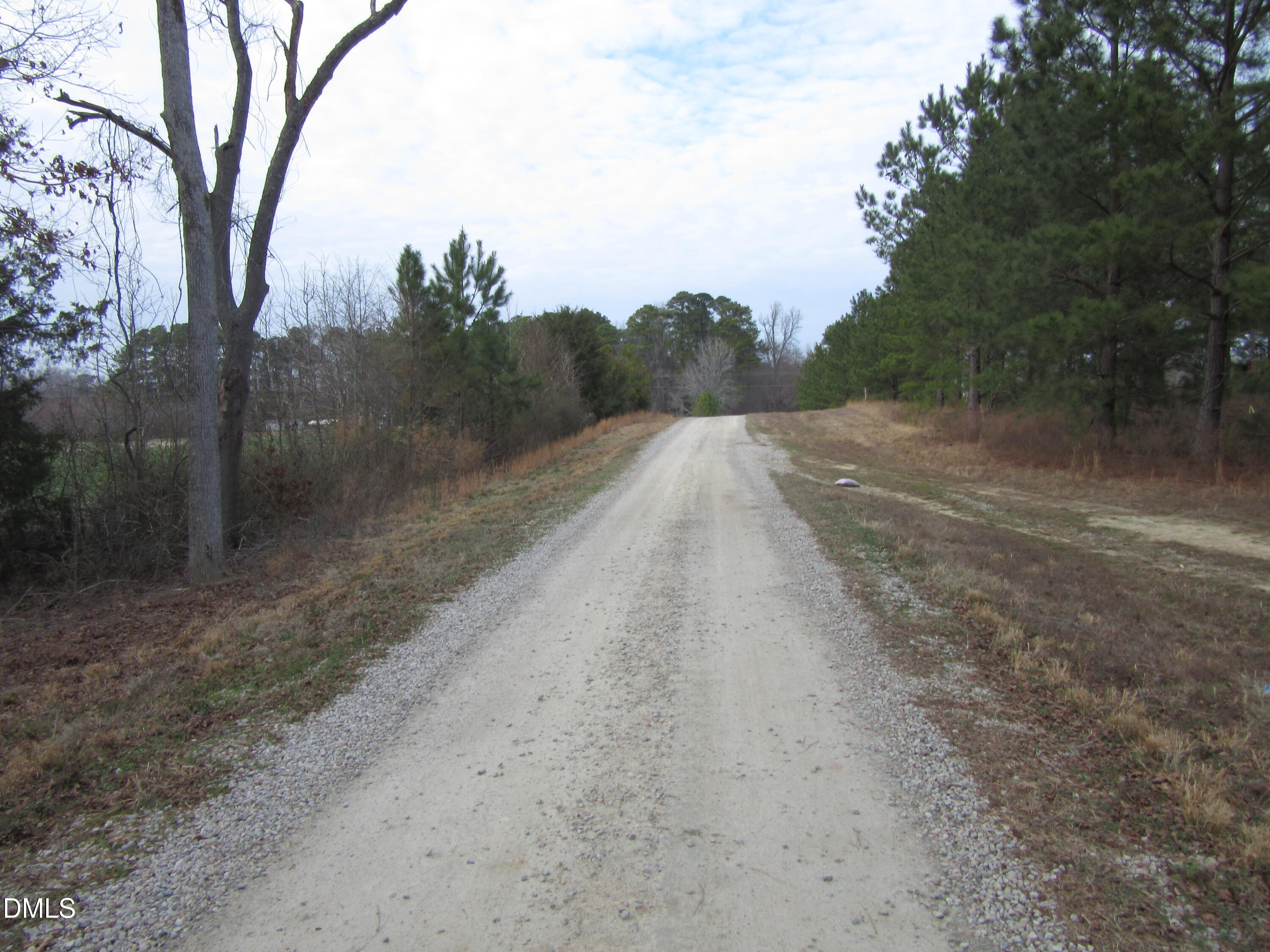 Lot 2 Johnson Town Road Zebulon, NC 27597 - Photo 7 of 8 IMG_1656