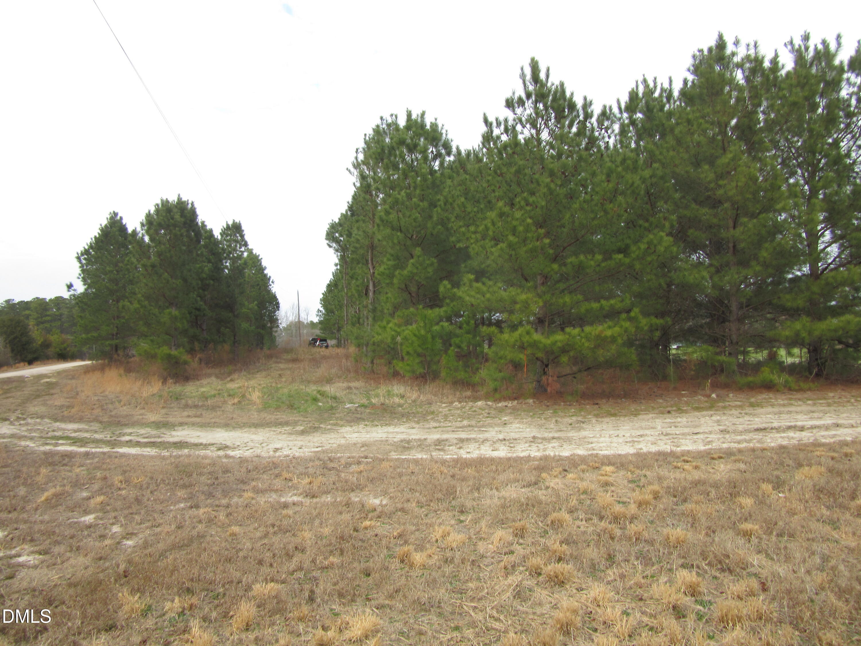 Lot 2 Johnson Town Road Zebulon, NC 27597 - Photo 8 of 8 IMG_1657