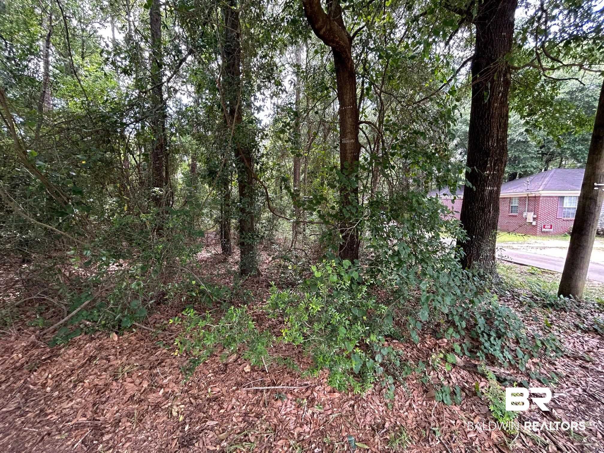 0 Laura Drive Semmes, AL 36575 - Photo 3 of 8 View 3