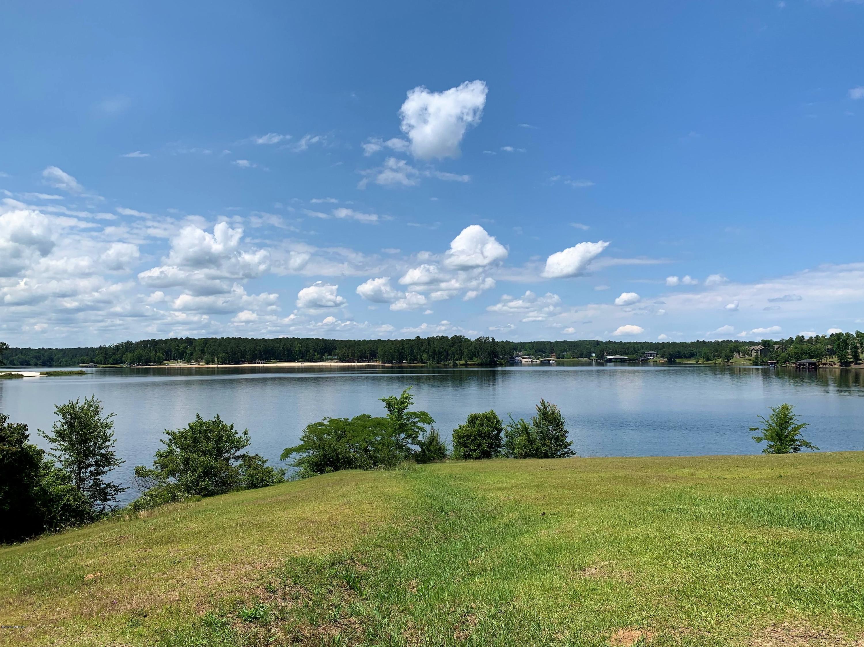 6431 Stapleton Road Macon, GA 31206 - Photo 28 of 29 a view of a lake in middle of forest