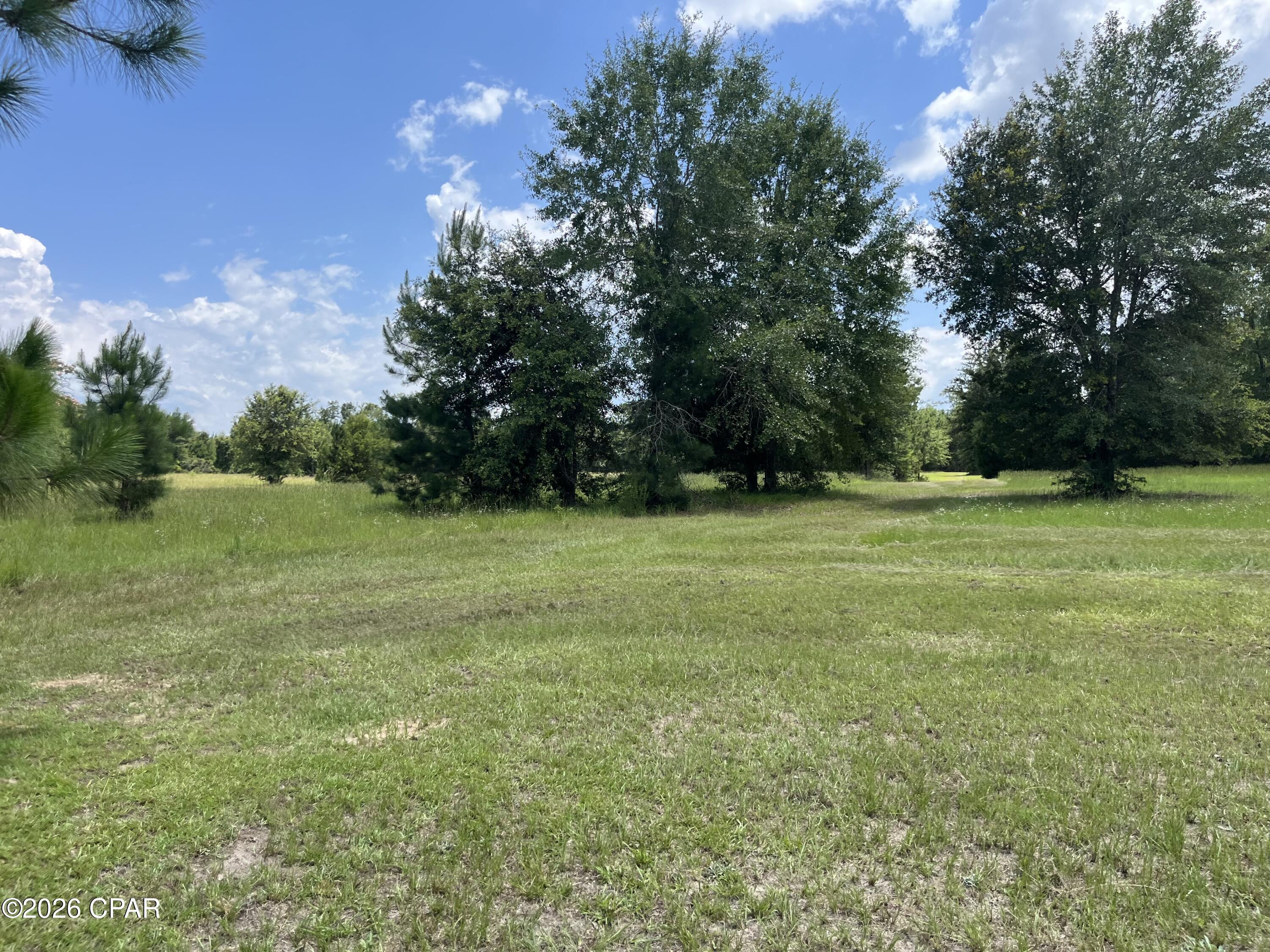 0 Gotcha Road Marianna, FL 32448 - Photo 5 of 19