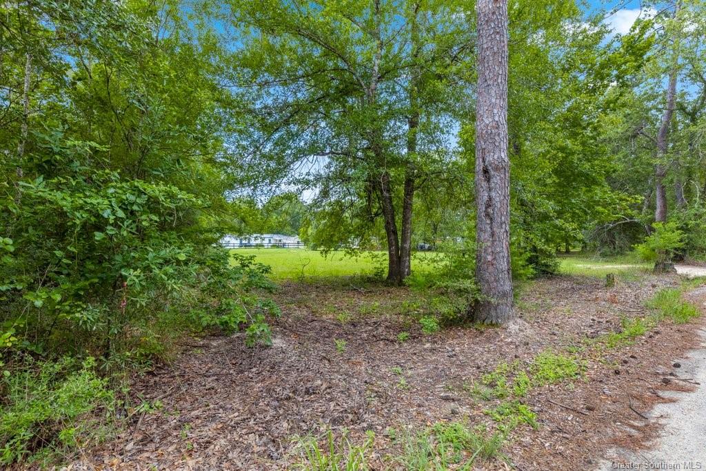 0 Unkel Camp Road Kinder, LA 70648 - Photo 8 of 8