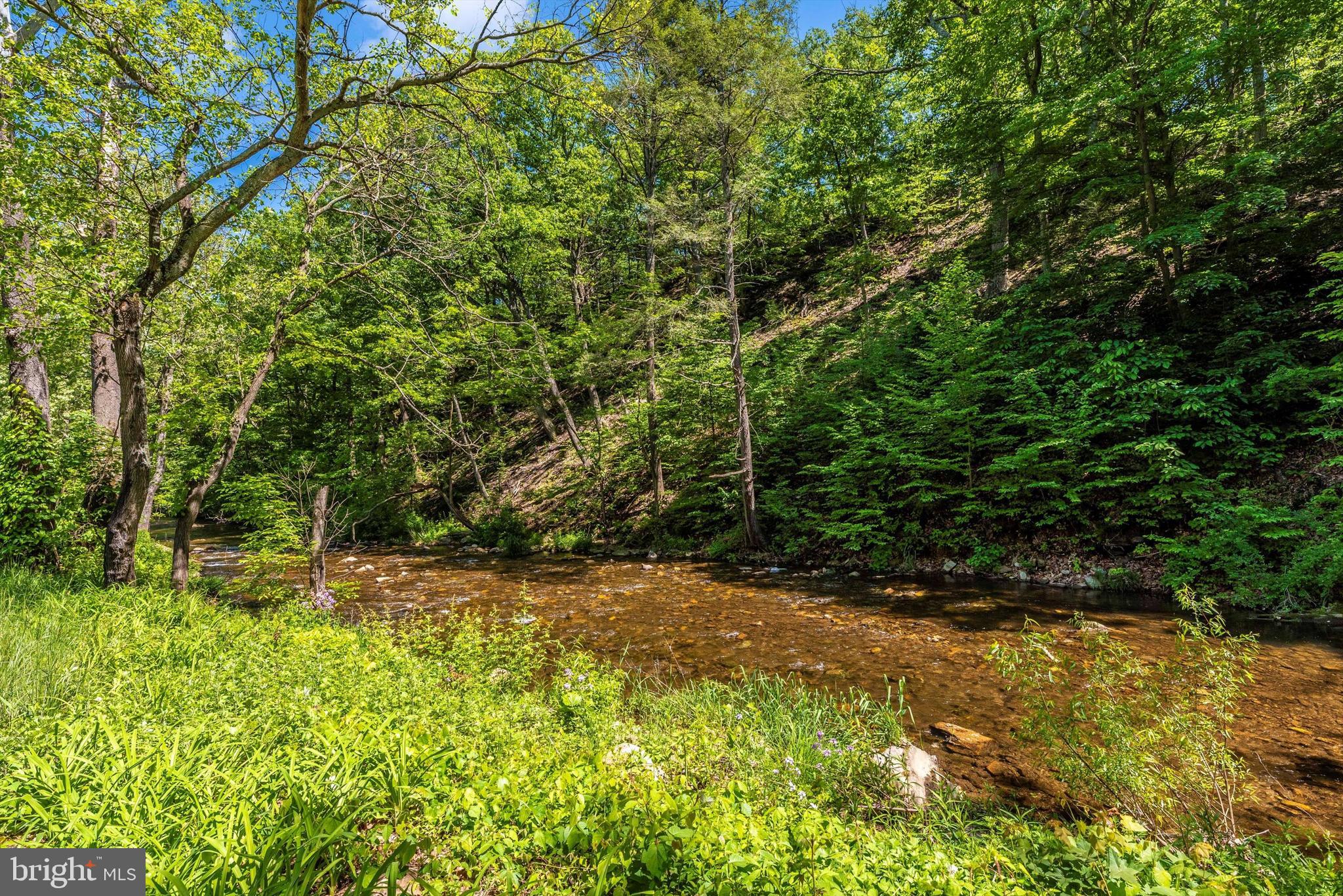 7810 Roddy Creek Road Thurmont, MD 21788 - Photo 36 of 53 Stream
