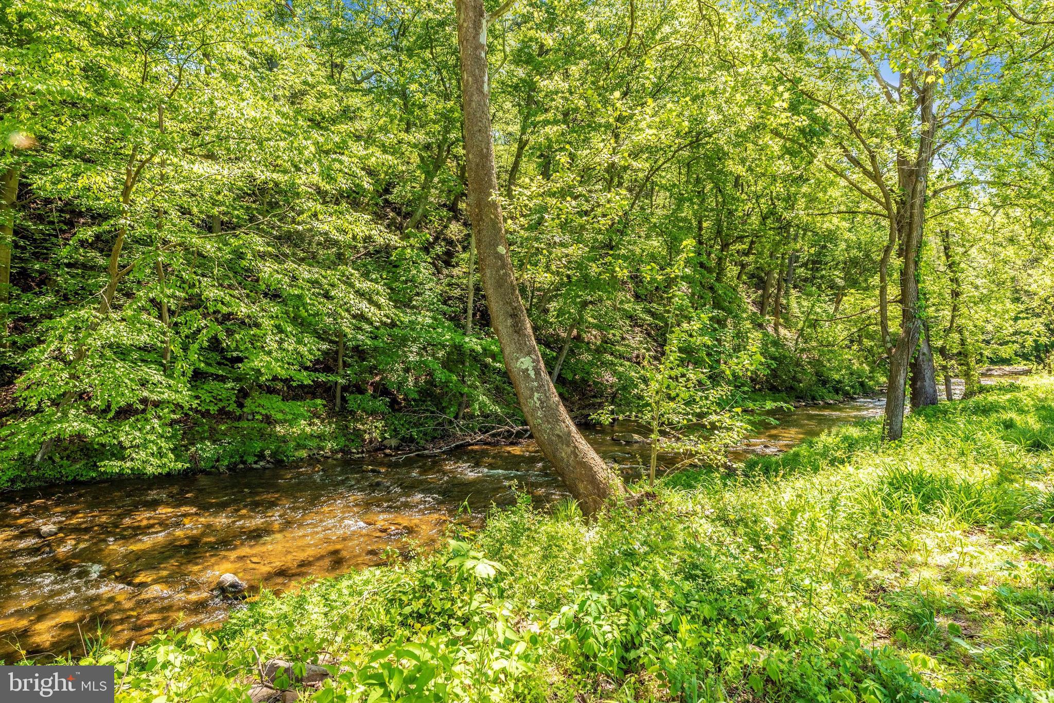 7810 Roddy Creek Road Thurmont, MD 21788 - Photo 37 of 53 Stream
